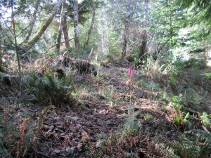 garden view flat west