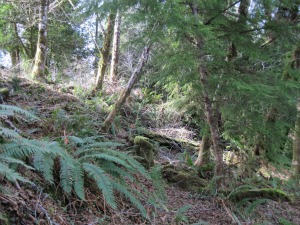 view garden slope west