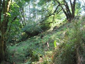 view garden north slope