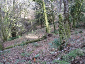 view garden north slope